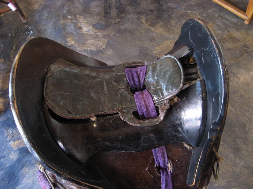 Japanese Saddle 1