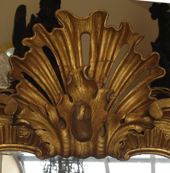 A large and beautiful 18th Century German gilt wood mirror with original mercury glass.  A large pierced scalopped shell in the crest is framed by arched swans necked pediments.  Garlands of exotic fruit scroll down each side.  The base is carved