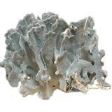 Perfect Specimen of Large Blue Coral on a Celadon Marble Plate.