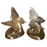 Bronze Butterfly  Bookends