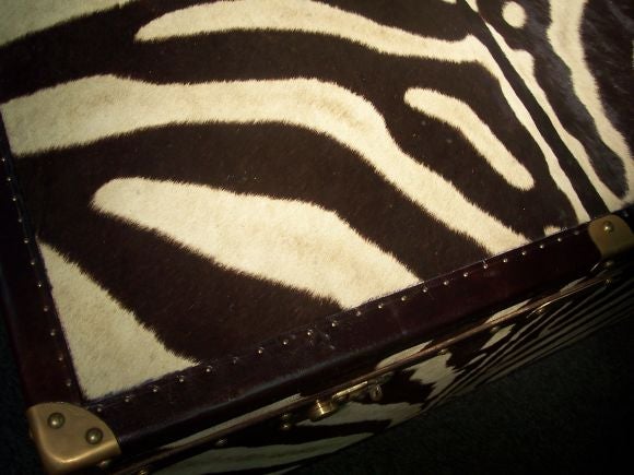 zebra trunk