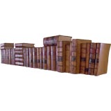 14 1/2 Linear Feet of  Matching Antique Leather Bound Law Books