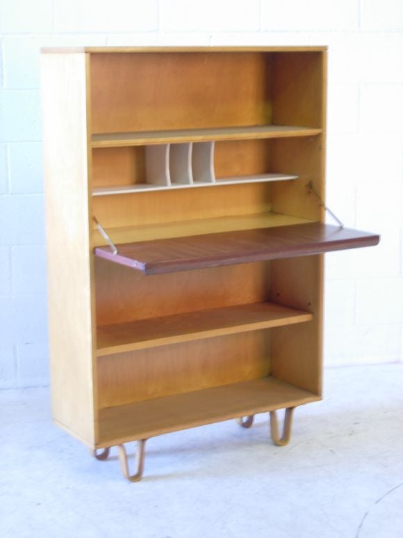 Cees Braakman for Pastoe  Desk