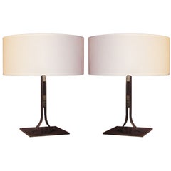 Pair of Bronze Table Lamps by Janette Laverriere