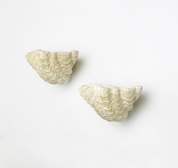 Serge Roche, (France 1898-1988). Pair of sconces in the form of seashells.