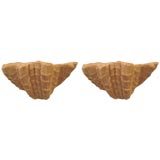 Paar französische Gips-Wandleuchter aus der Mitte des Jahrhunderts von Serge Roche, Frankreich, 1930