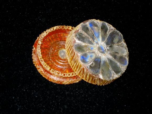 Line Vautrin Pillbox