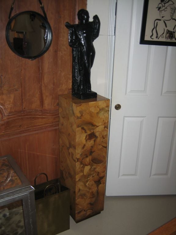 Wonderful Oyster Burl Pedestal