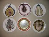 Early Fornasetti Plates