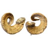 Pair of Ram's Horn Silver Candle Holders