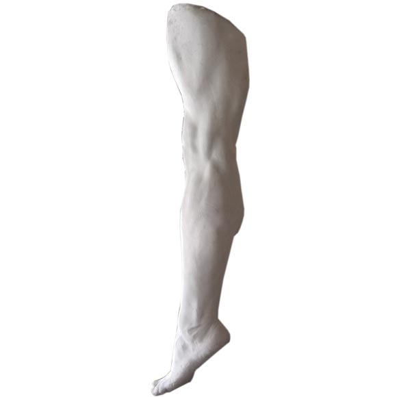 Italian Gesso Leg Study at 1stDibs