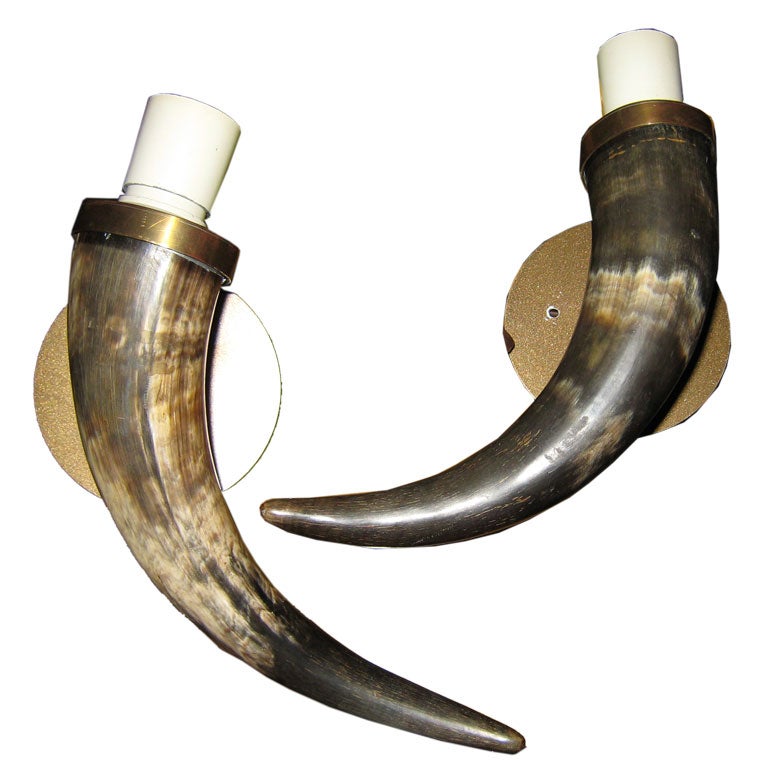 Horn  Sconces