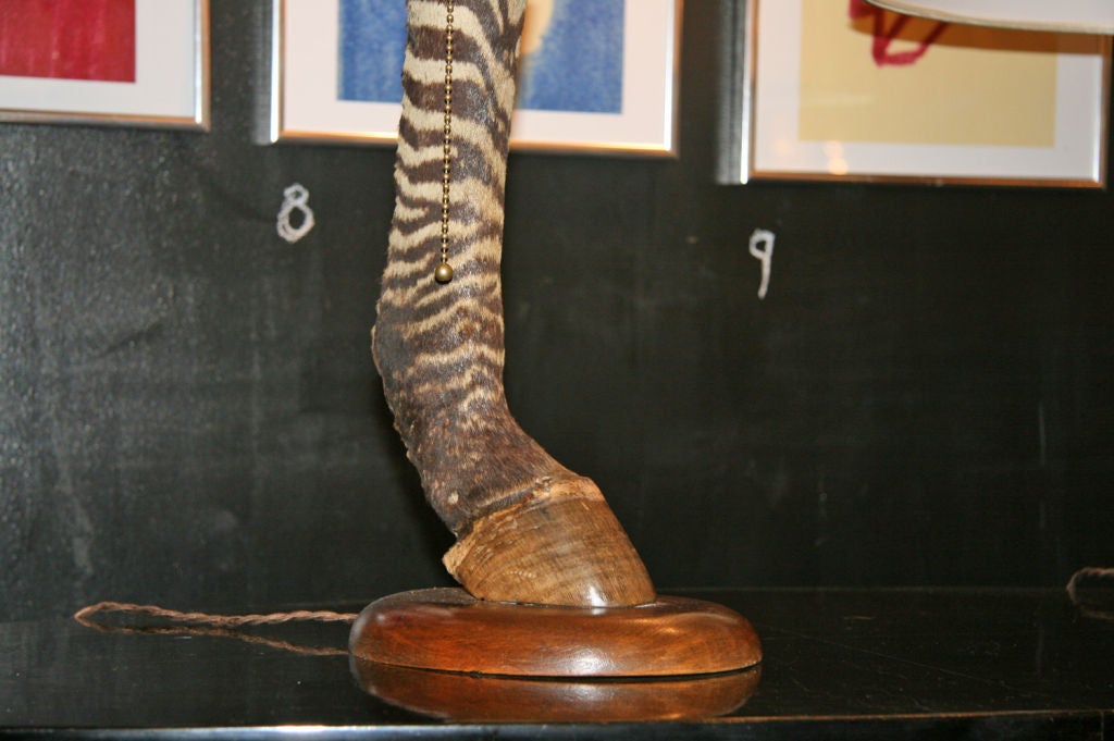 Pair of Vintage Zebra Hoof Lamps In Excellent Condition In Los Angeles, CA