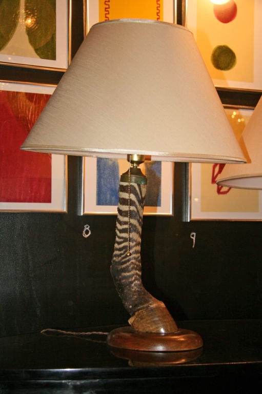 Pair of Vintage Zebra Hoof Lamps 1