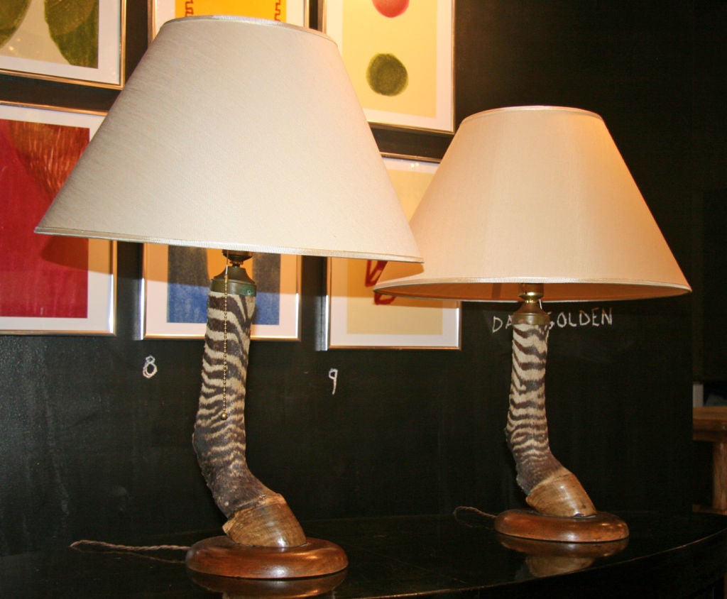 Quirky original wood base zebra hoof table lamps!