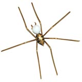 Italian Spider Sconce