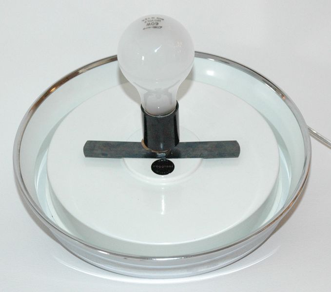 Late 20th Century Reggiani Egg Lamp