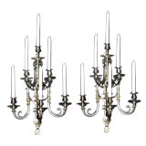 Pair of exceptional French 19th century  6-light sconces