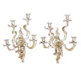Pair of large French 19th century Louis XV  5-light sconces