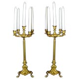Pair of French 19th century 5-light bronze dore candelabrums