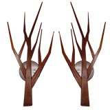 Pair of Scott Winslow Tree Branch Sconces