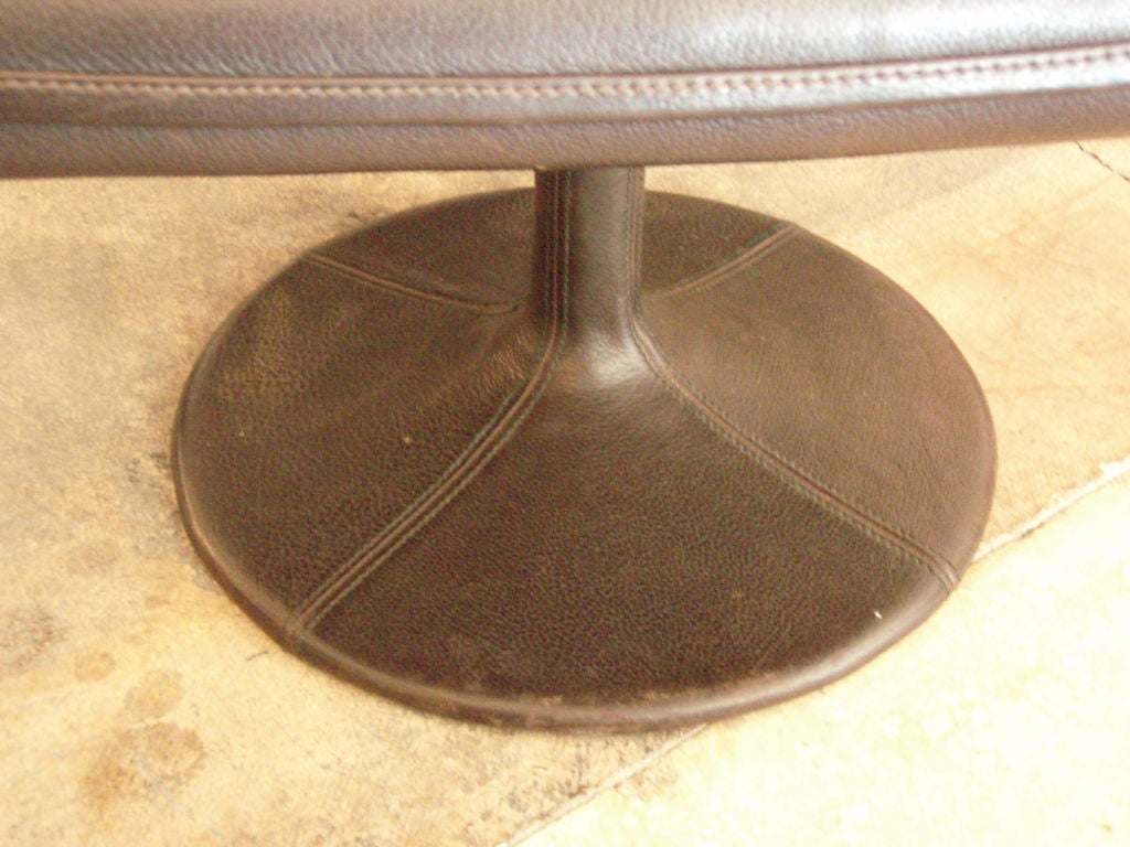 De Sede Leather Chair & Ottoman 3