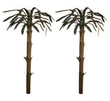 Pair Fantastic Life Size Tole Palm Tree Wall Sconces