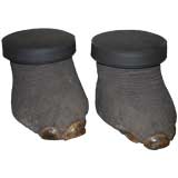 Pair of Elephant Foot Stools