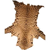 Vintage Leopard Skin Rug