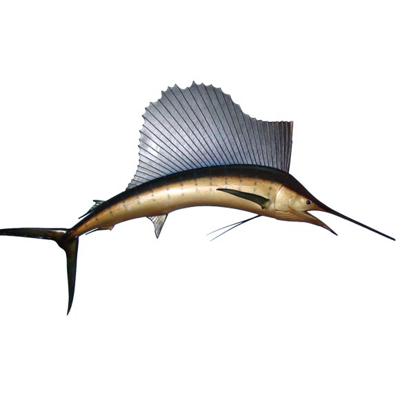 Tachidermy swordfish