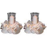 Pair of shell candle holder