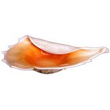 Retro A Massive Italian 1950's Shell-form Glass Bowl