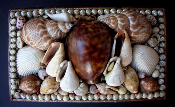 An American Victorian Tramp Art Shell Encrusted Jewelry Box 1