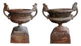 Antique A Grand-Scaled Companion Pair of  Iron Urns on Stand
