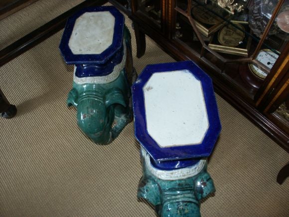 Pair of Asian Elephants