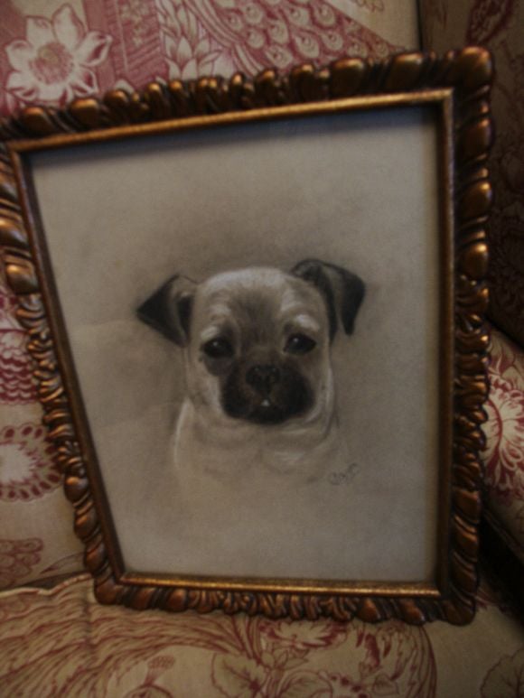 charcoal drawing of a pug signed with conjoined monogram and dated 1900.Englih gallery lable on the back
