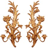 Italian Giltwood sconces