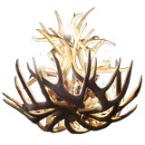 Antler  Chandelier