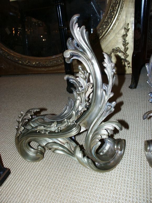 Beautiful French Bronze chenets