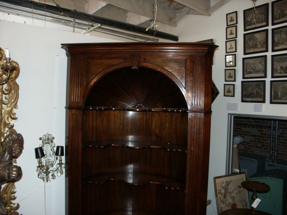 Large Beautiful Corner Cabinet