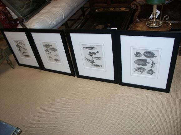 Set of four antique prints in black and white with modern frames.  These were printed in 1811 by Longman Hurst Rees