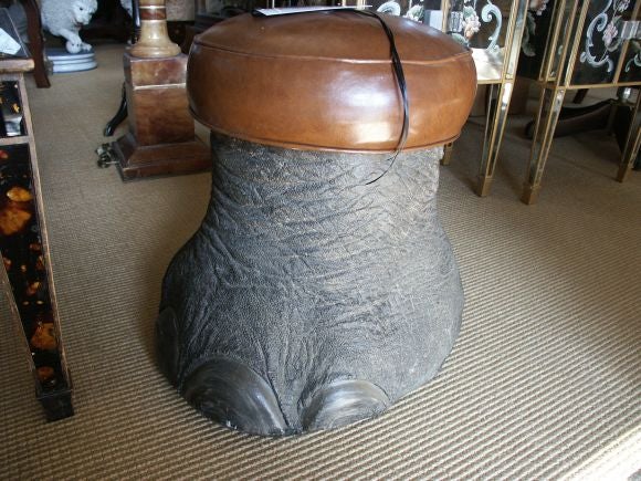 taxidermy elephant foot stool