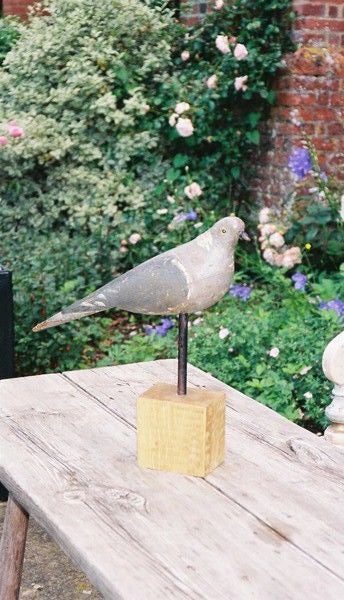 Late 19th c. English Pigeon Decoy