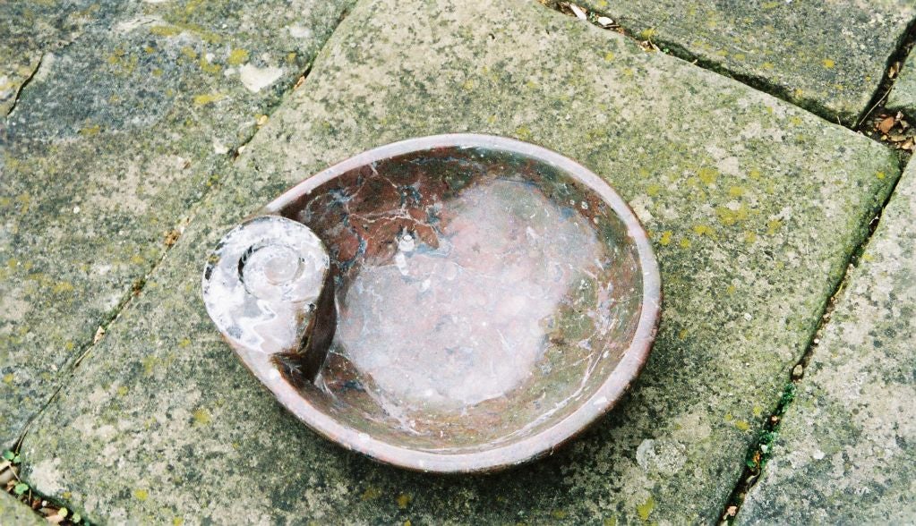 Large Fossilized Stone Bowl with Ammonite