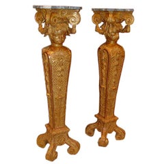Antique An Important Pair of Georgian Pedestals