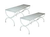 Pair Iron Benches In the Neo-classic manner