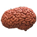 Giant Brain Trade Sign Giant Brain Trade Sign