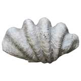 Faux Giant Clam Shell Sconces