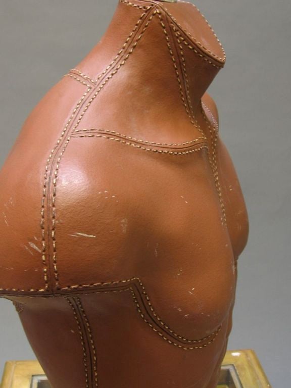Faux Stitched Leather Male Torso Lights 4