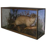 California Sea Otter Diorama